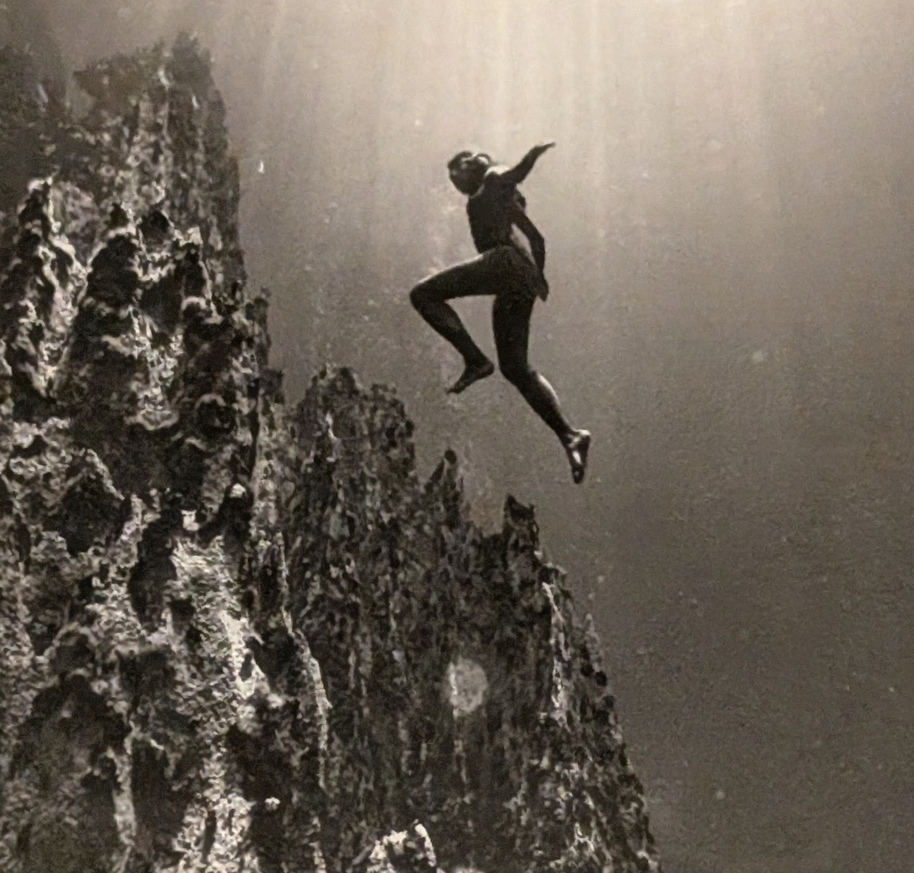 Jumping Diver